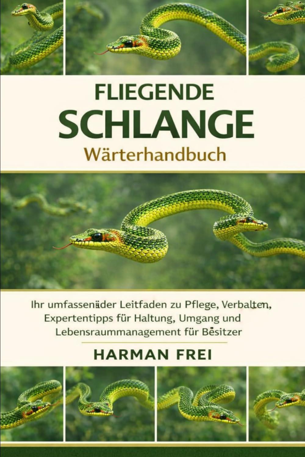 Fliegende Schlange: Ihr umfassender Leitfaden zu Pflege, Verhalten, Expertentipps für Haltung, Umgang und Lebensraummanagement für Besitzer