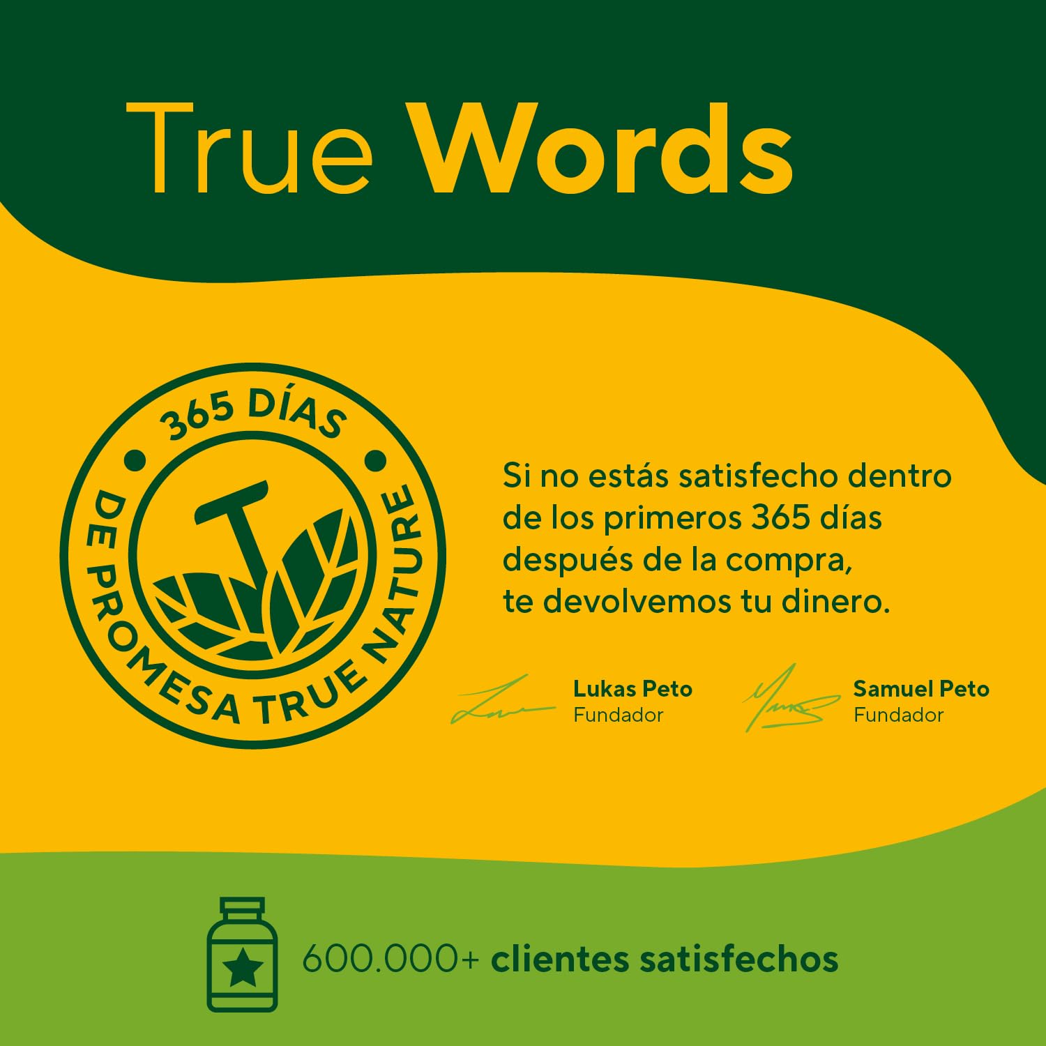 Hipérico Hierba de San Juan Extracto - 5000mg al día - 240 cápsulas - Alta Concentración - con hipericina natural - con vitaminas B6, B12 y ácido fólico - TRUE NATURE®