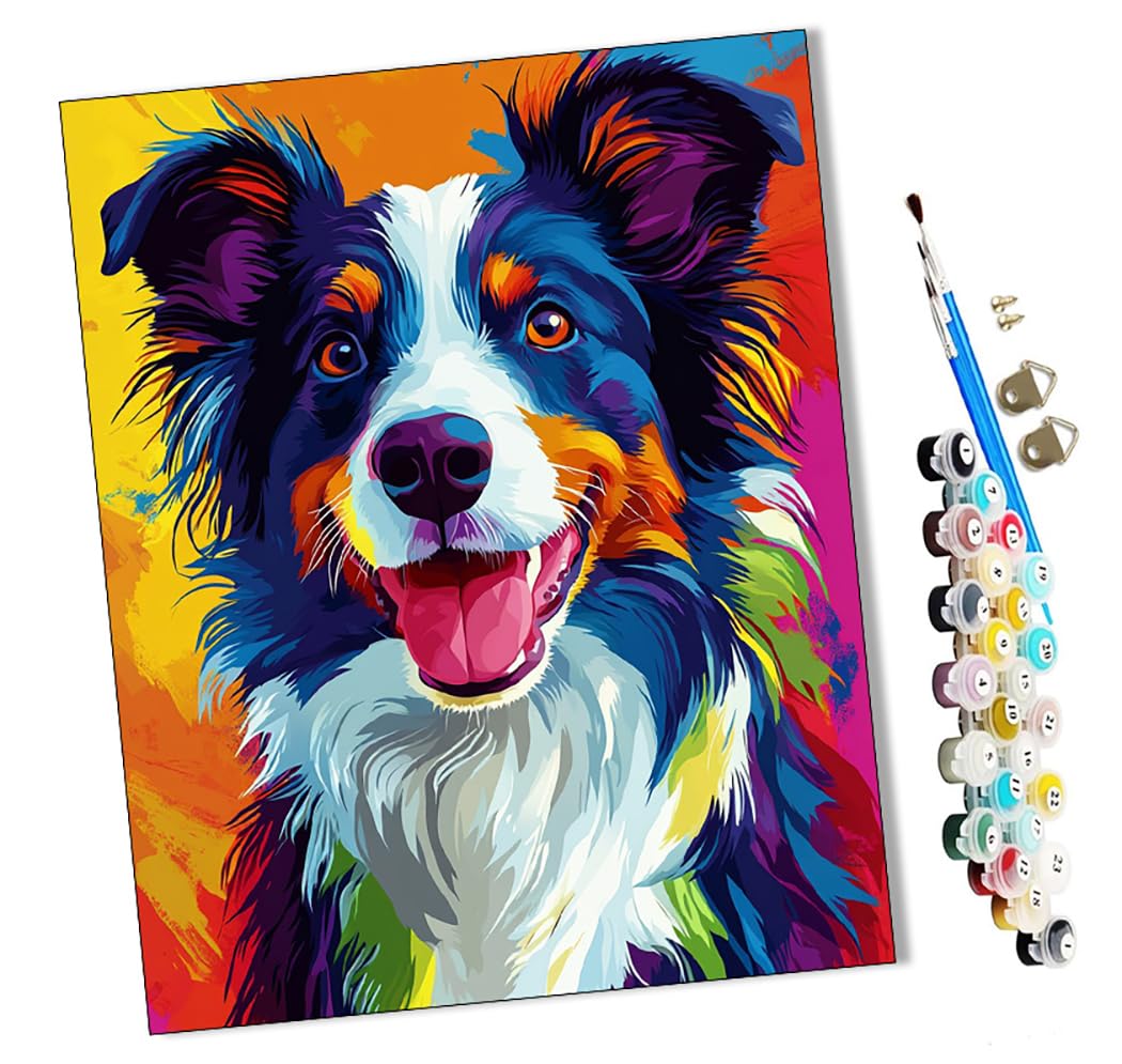 Wmzpoy Paint By Numbers Colored Border Collie For Adults And Kids Diy Oil Painting Gift Kits Pre-Printed Canvas Art Home Decoration 16X20 Inch Frameless