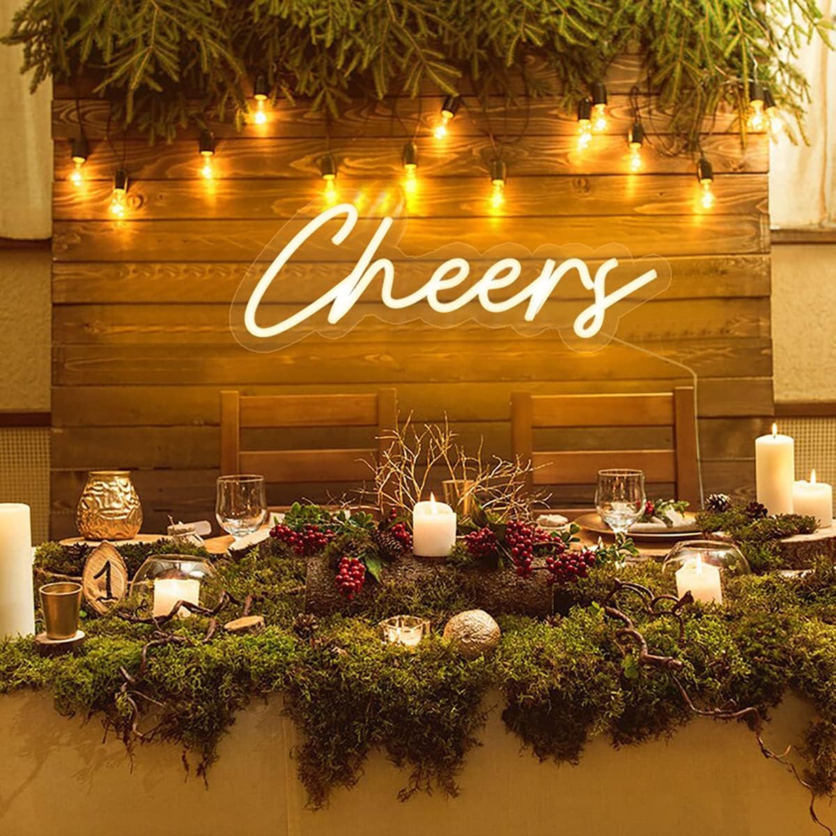 HFHungkeong Cheers Neon Sign USB Powered with Dimmable Switch,LED Neon Light Sign for Wall Background Decor,Cheer Light Up Sign Neon for Bar Birthday Party Wedding 16.5 * 7in(Warm White)