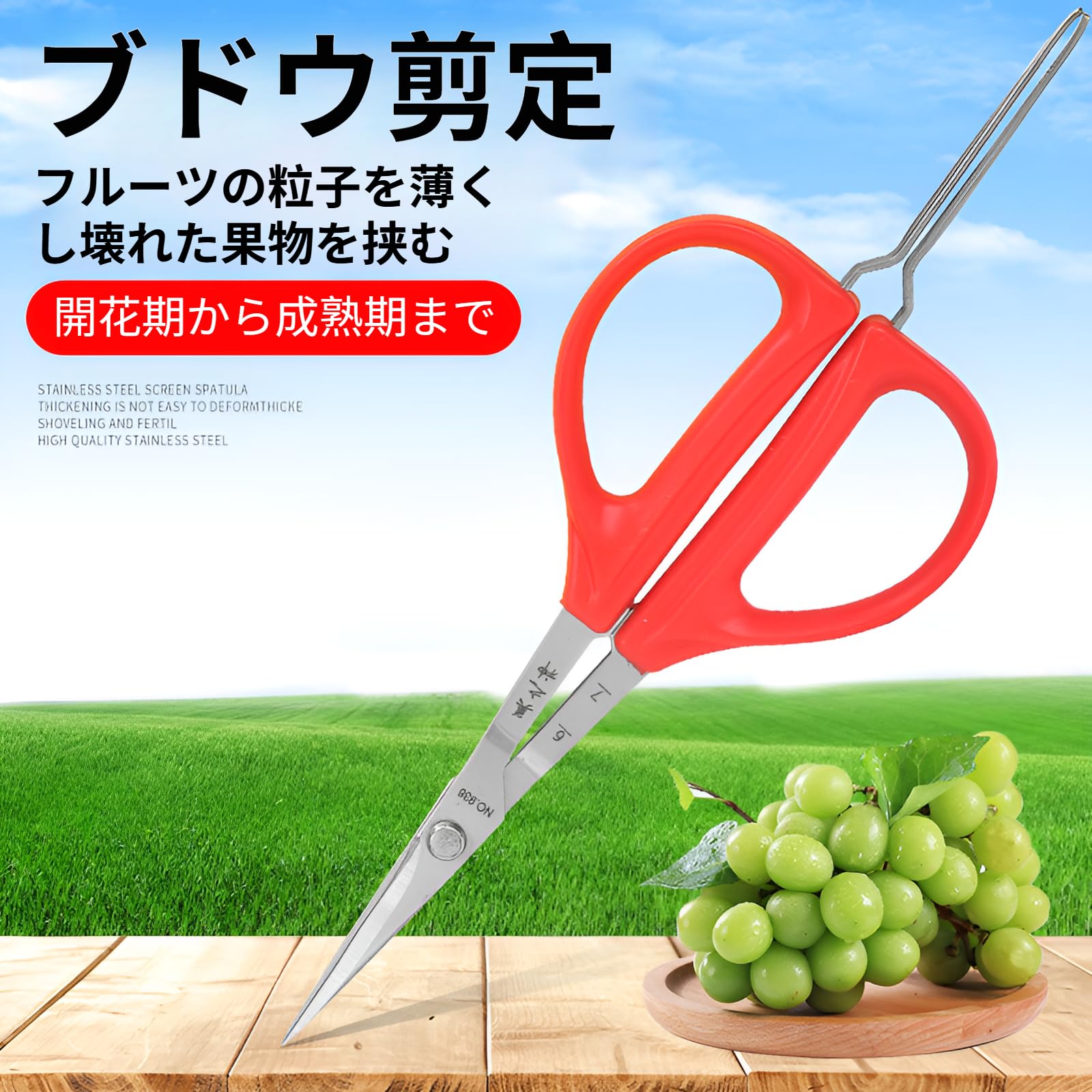 Amazon | [Vailaipupy]園芸ハサミ ぶどうはさみ ステンレス ピンセット