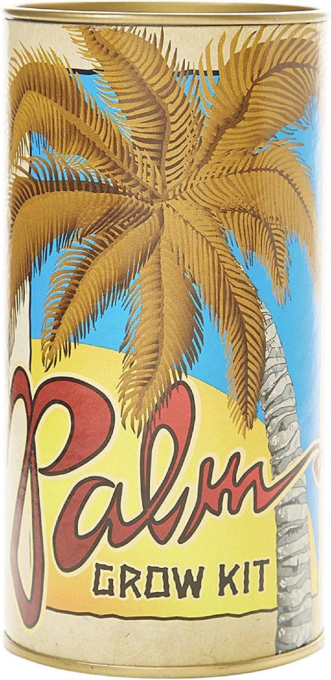 CRTGWPalm Tree (California Fan) | Seed Grow Kit | The Jonsteen Company