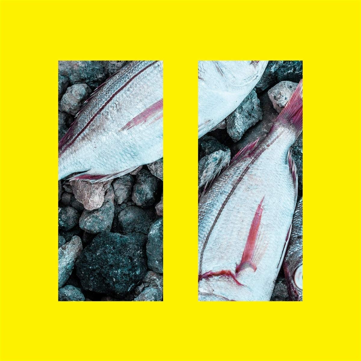 II [VINYL]