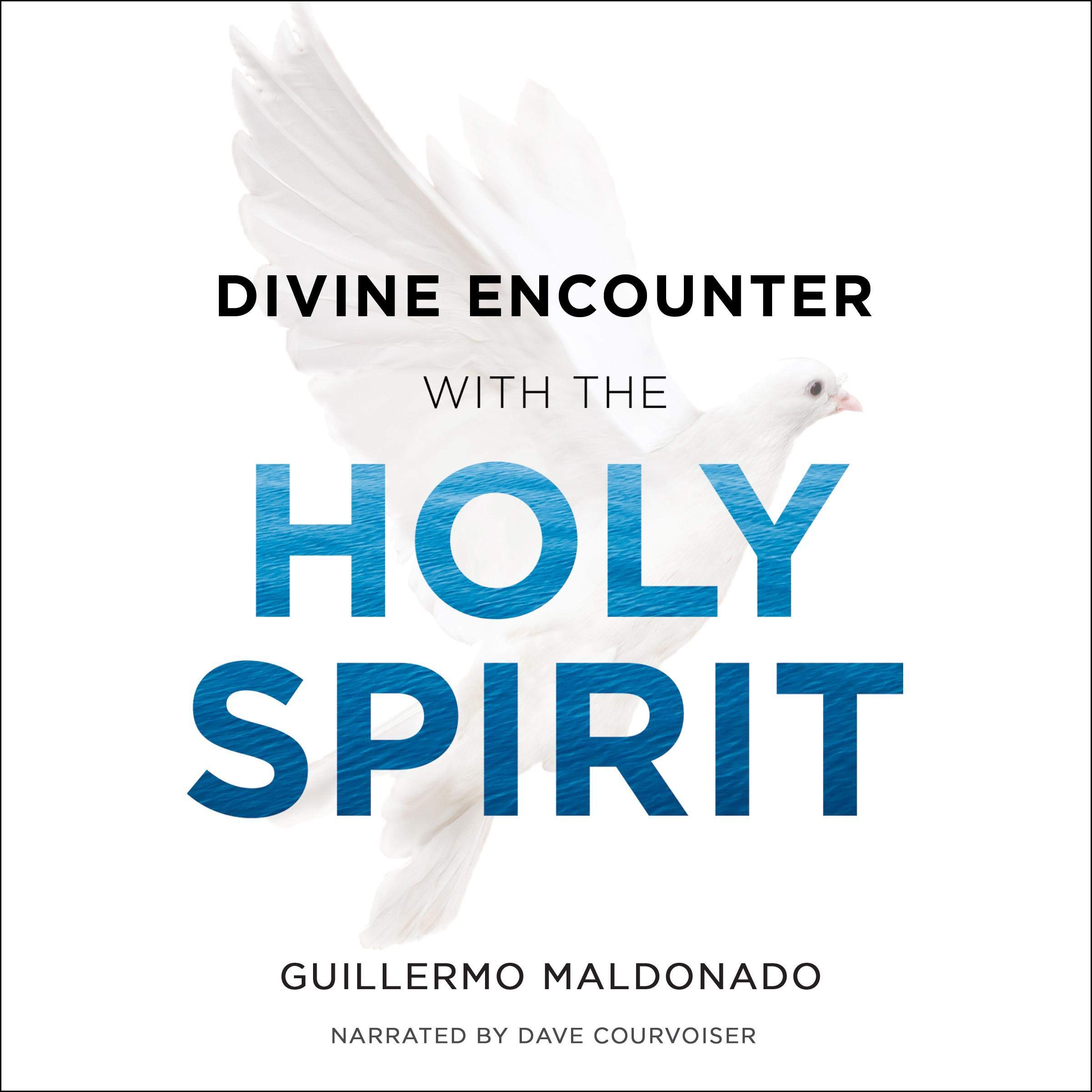 Cover art for Divine Encounter with the Holy Spirit