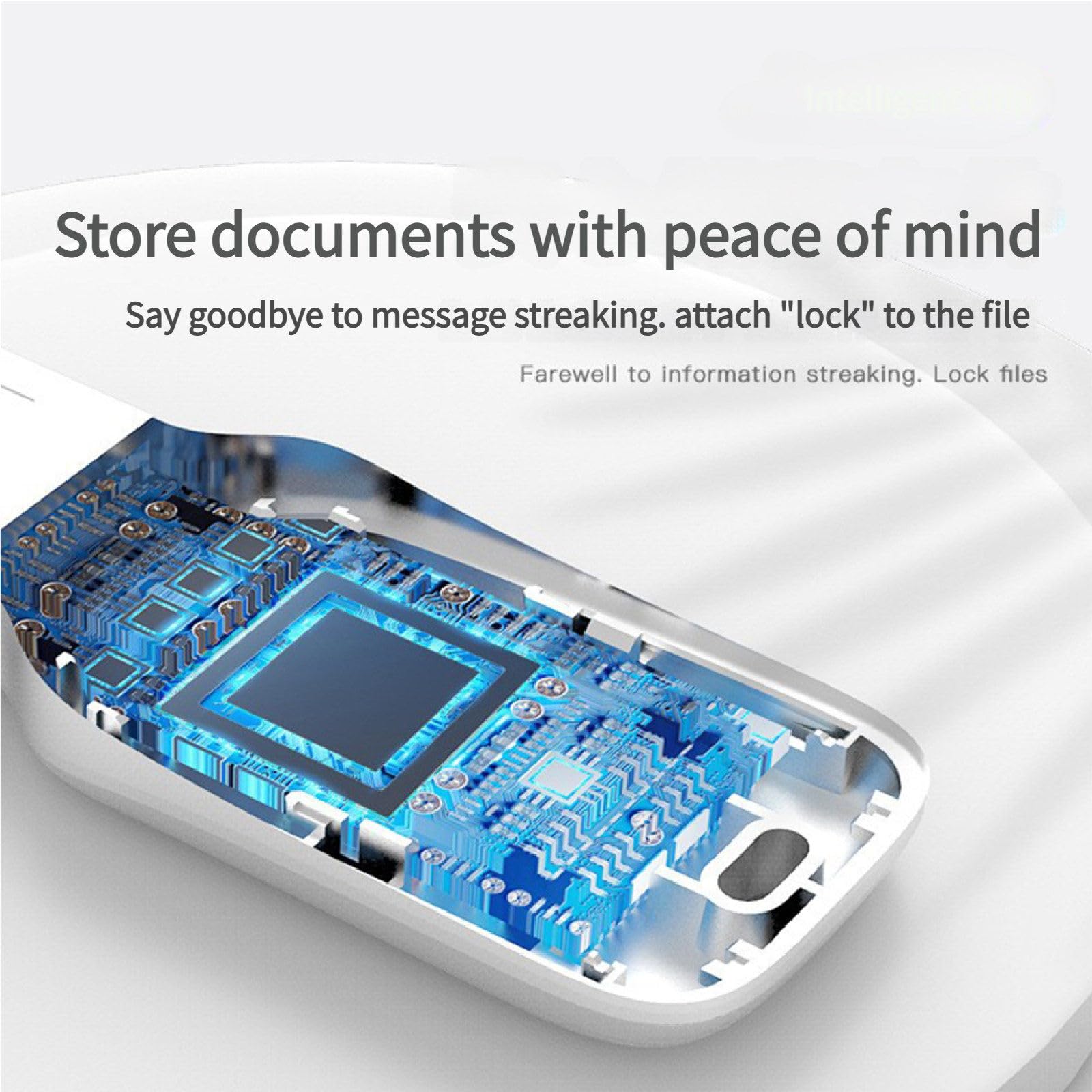 Chiavetta USB Type-C con crittografia delle Impronte digitali, chiavetta USB protetta da Password, 10 ID di Impronte digitali consentiti, chiavette USB 64GB