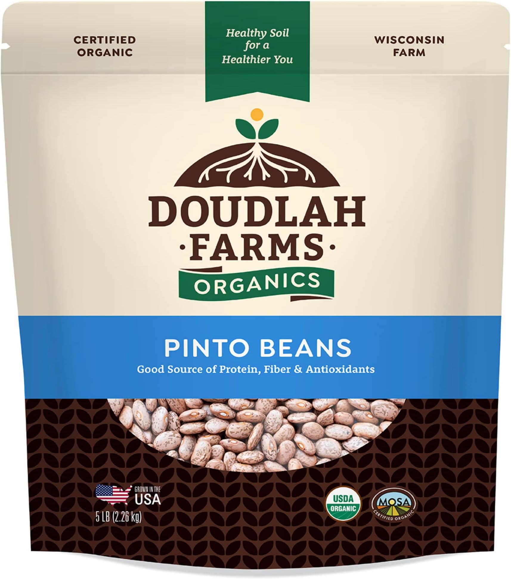 Organic Pinto Beans