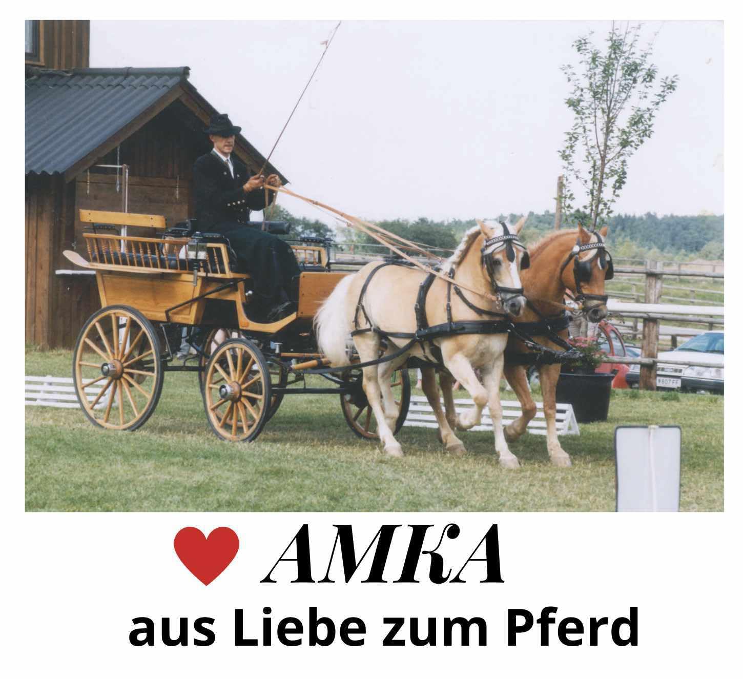 AMKA Selett Scherenträger mit Quick Open Schnell Verschluss 1 Paar