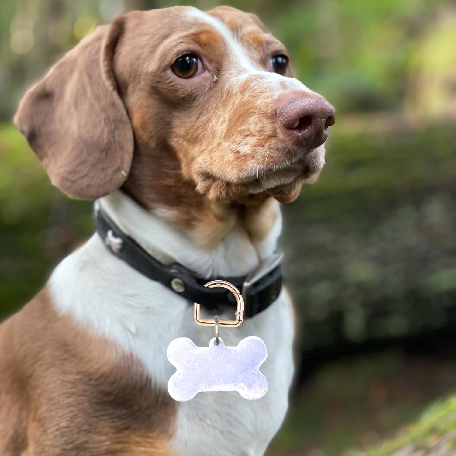 5pcs D Rings for Purse,Zinc Alloy 1 Inch D Rings,Gold D Ring Spring Key Hooks,2.8 x 3 cm/1.1 x 1.18in Purse Hardware for Bag Making,DIY Purse Strap Replacement for Backpack Handbag Purse Strap - Image 7