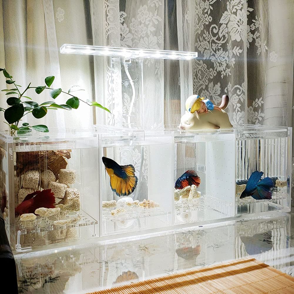 Betta Fish Tank Aquarium Material acrílico Mini pecera de Escritorio Kit de Cuencos con Bomba de Agua y Luces LED Autocirculación Tanque ecológico Sala de Aislamiento de Peces Enfermos (4 Rejillas)