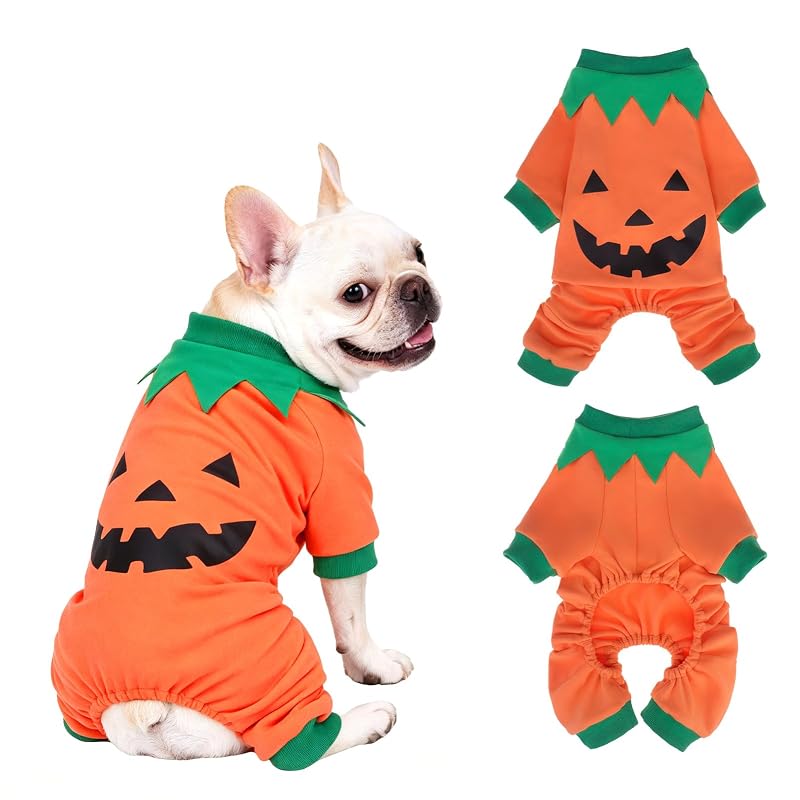 Pijama para Cães e Gatos Pequenos com Estampa de Abóbora, EXPAWLORER, Laranja, Tamanho Pequeno