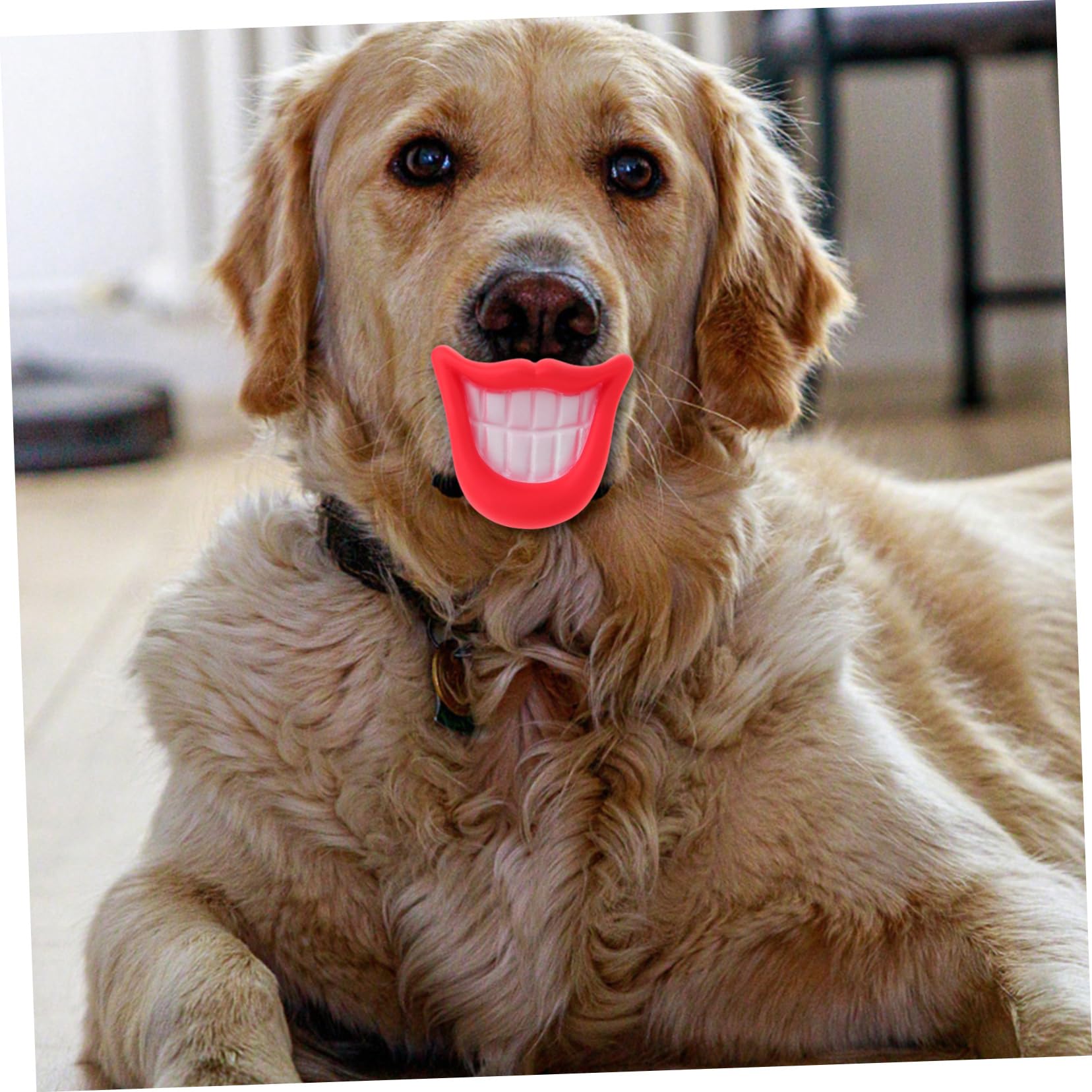 POPETPOP 9 Pz giocattolo da masticare per cani Halloween giocattoli animali domestici che giocano a cane che gioca giocattolo animale domestico giocare a forniture