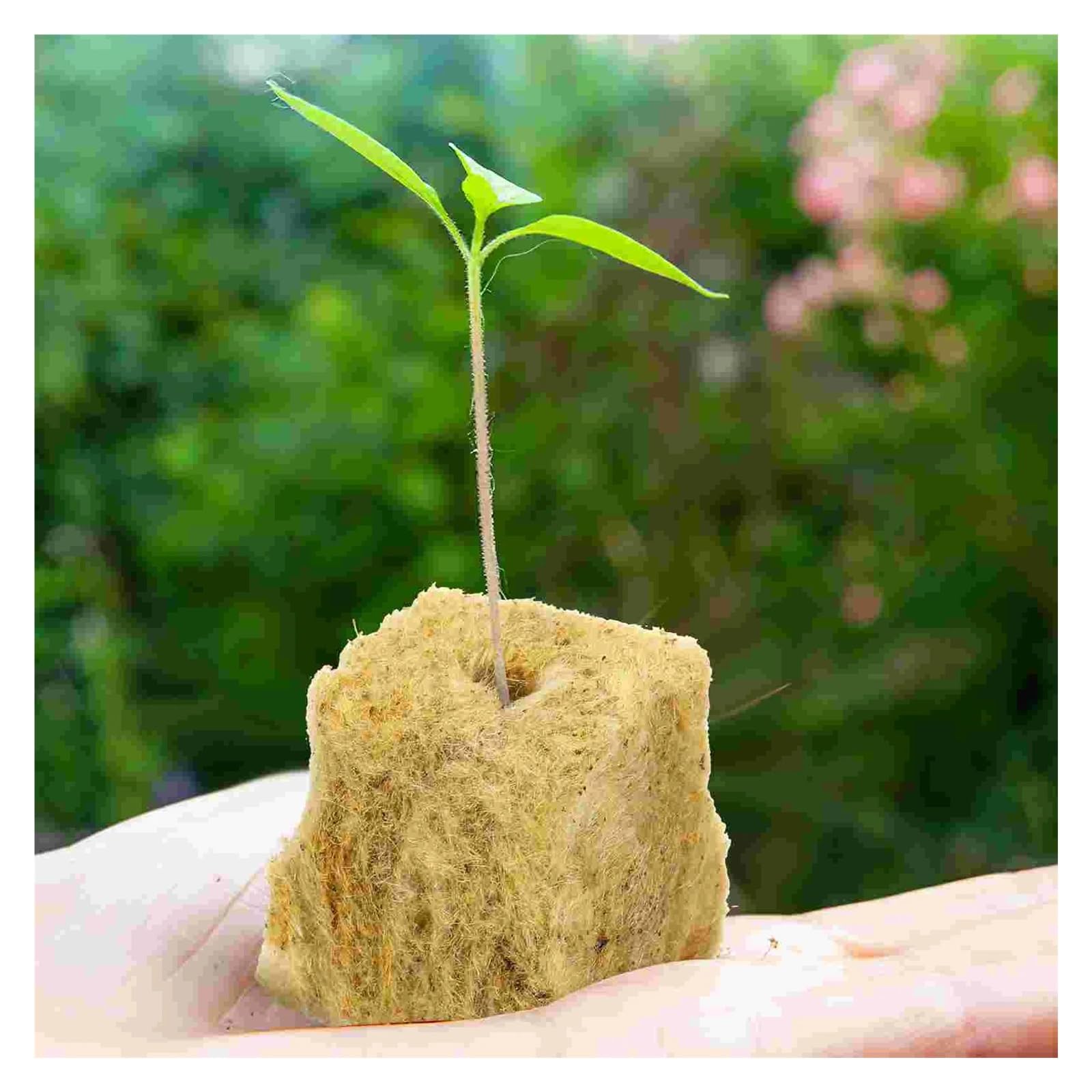 Kostki do uprawy roślin z wełny， Kostki Starter Rock Wools Hydroponics Grow Planting System Ball Propagation Root Planter