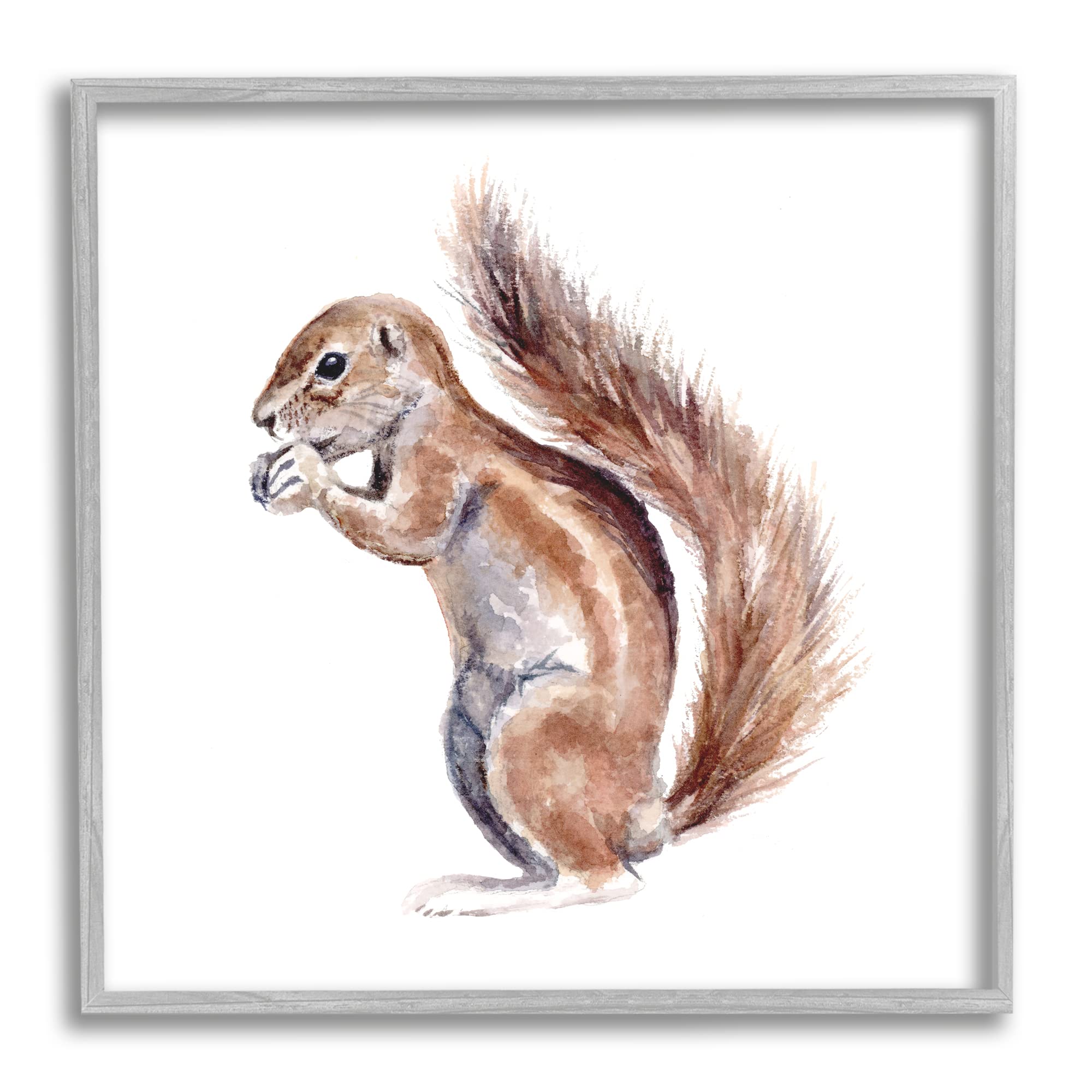 Stupell Industries Baby Squirrel Watercolor Painting Kids' Wild Animal Grey Framed Wall Art, 17 x 17, Brown