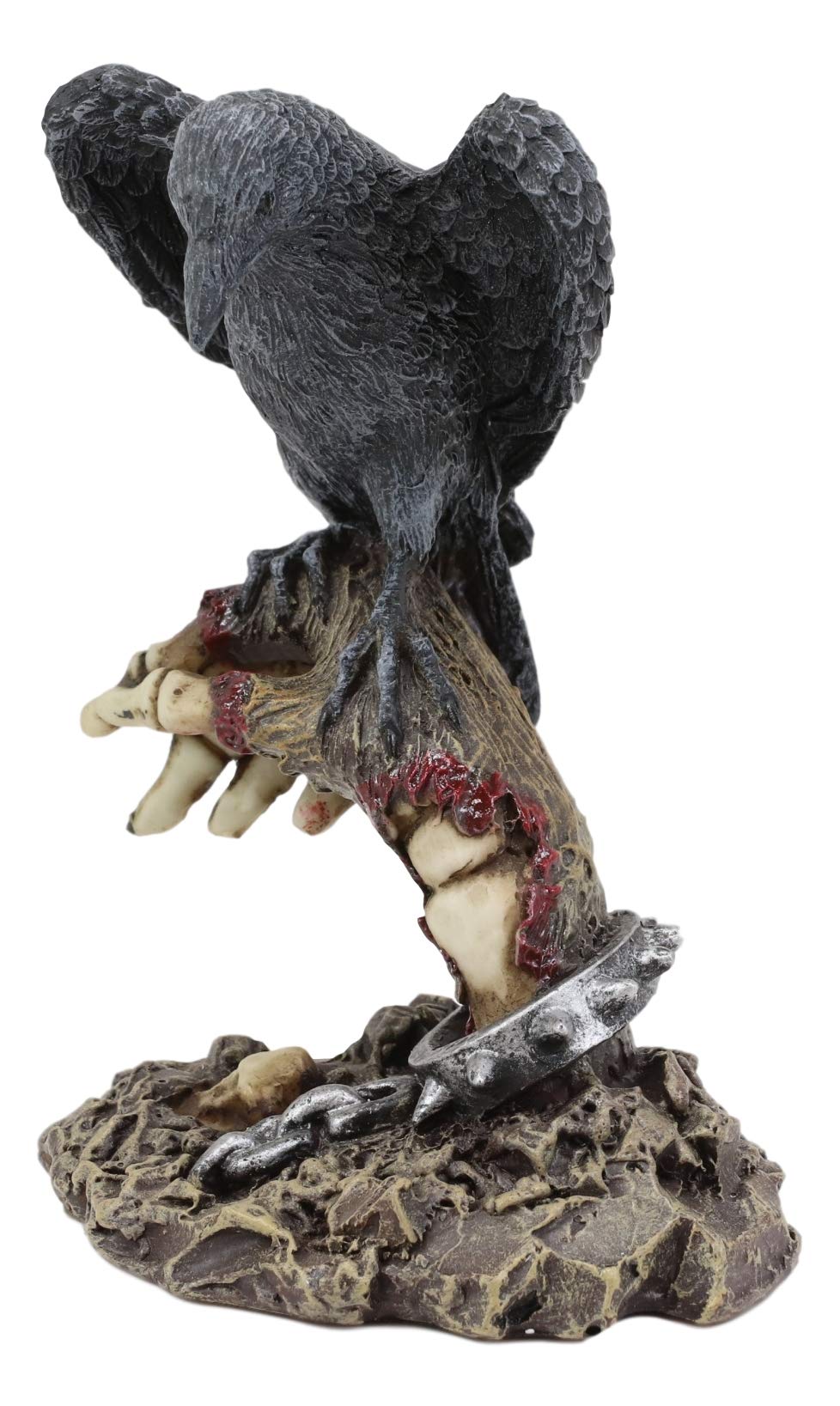 Amazon.com: Ebros Gift Gothic Raven Crow Perching On Shackled