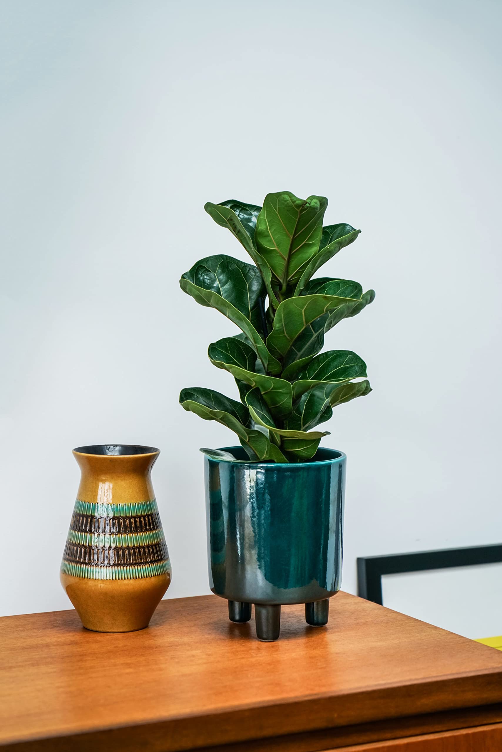 Vaso Per Piante Ivyline In Ceramica Granito – 19,5 Cm, Smaltato, Impermeabile, Design Liscio, Qualità Premium, Regalo Per Amanti Delle Piante