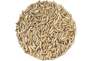 AA Plus Shop Premium Alpiste Oats: Nutrition for Your Beloved Equines