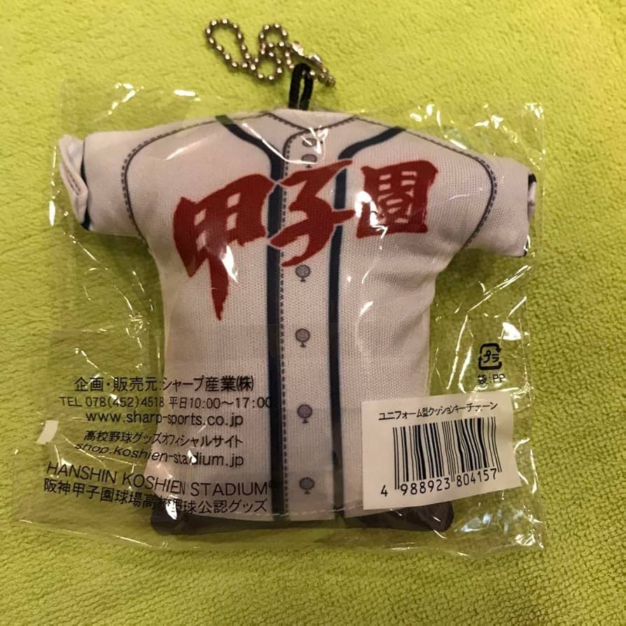 【激レア★美品】中村高校　2017甲子園出場 応援グッズ 5点セット 激レア☆美品】中村高校 2017甲子園出場 応援グッズ 5点セット