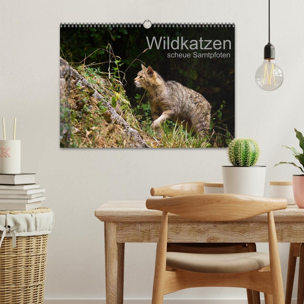 Wildkatzen - scheue Samtpfoten (Wandkalender 2026 DIN A3 quer), CALVENDO Monatskalender: Beeindruckende Fotografien der europäischen Wildkatze