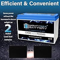 Vista 7 de Batería de repuesto de litio de 12 V 100 AH compatible con sistema de alimentación independiente de cápsulas solares, paquete de 2