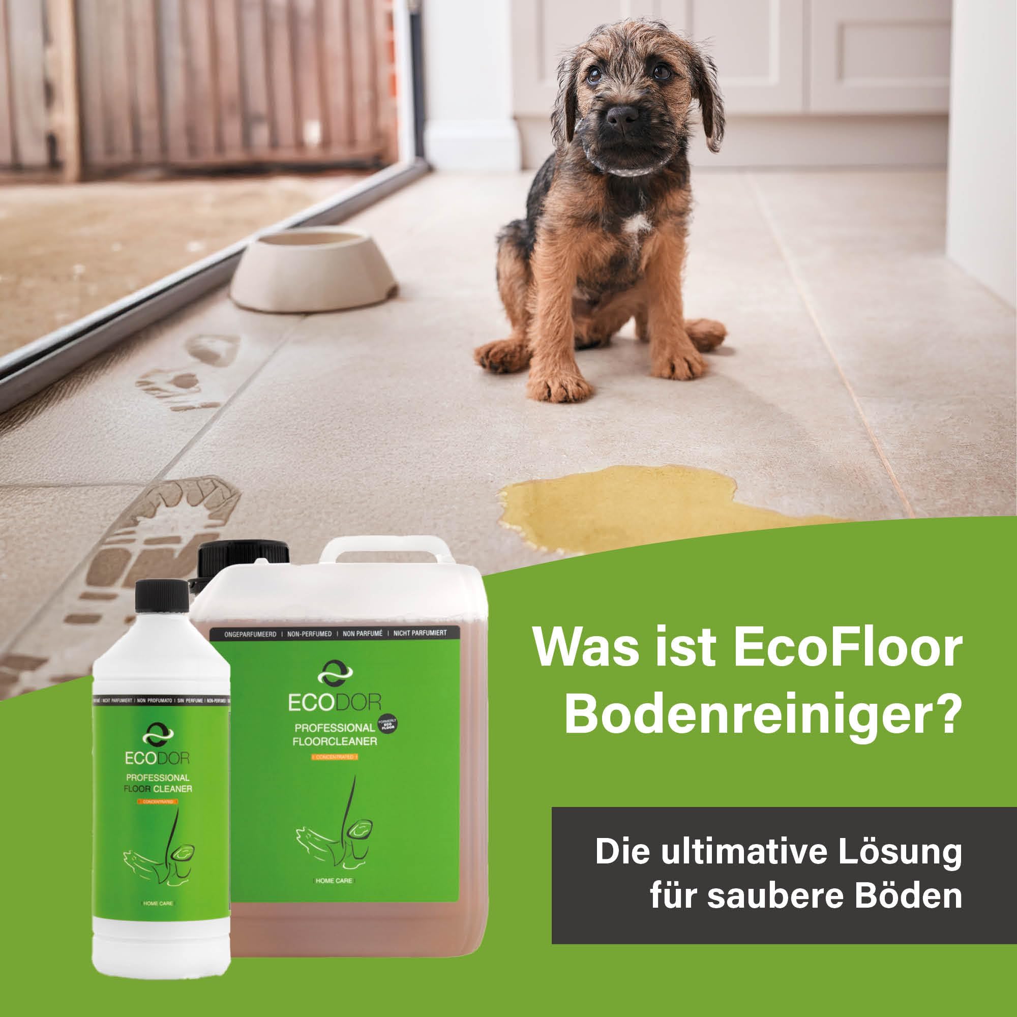 Uringeruchsentferner Gesamtpaket. UF2000 1ltr. 5-Fach Konzentrat Uringeruchsneutralisierer + 1ltr. EcoFloor 20-Fach Konzentrat.EIN leistungsstarker Bodenreiniger.