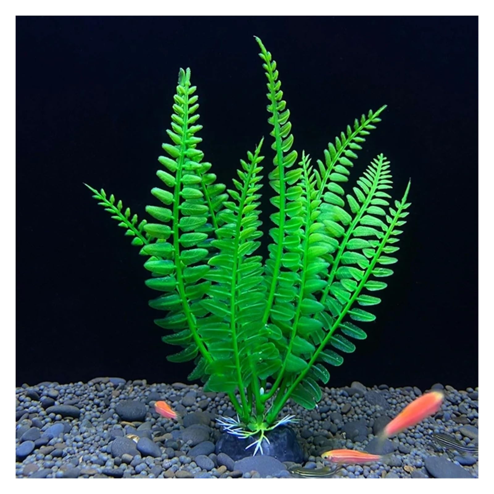 Plantas Artificiales para acuarios, Hierba de Agua Artificial for Acuario 12 Piezas