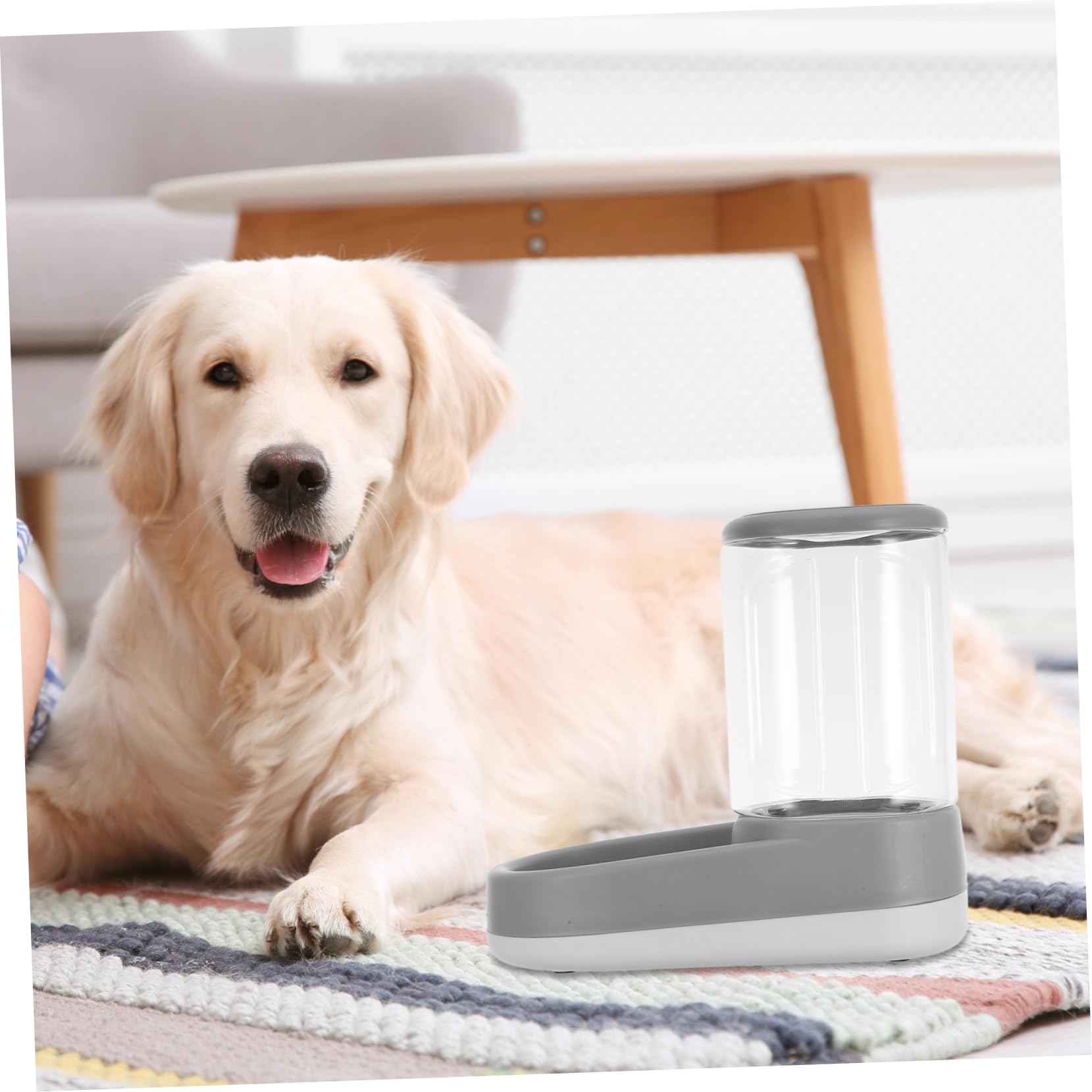 Distributore Automatico di Cibo per Gatti e Gattini, Regolabile Abs | Capacità Grande, Dosaggio Preciso Temporizzazione, Funzionamento Silenzioso, Uso Domestico Quotidiano