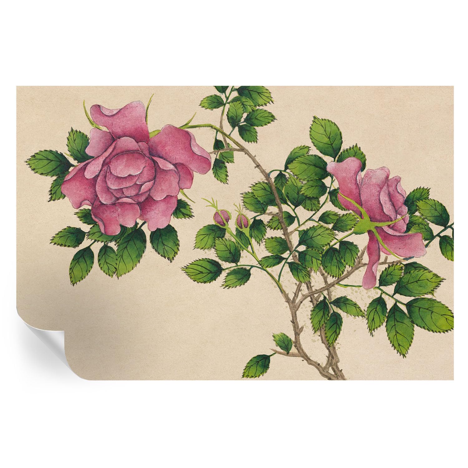 Adornos de pared de instalación rápida: vinilos de 104x70 cm con ilustraciones de rosas