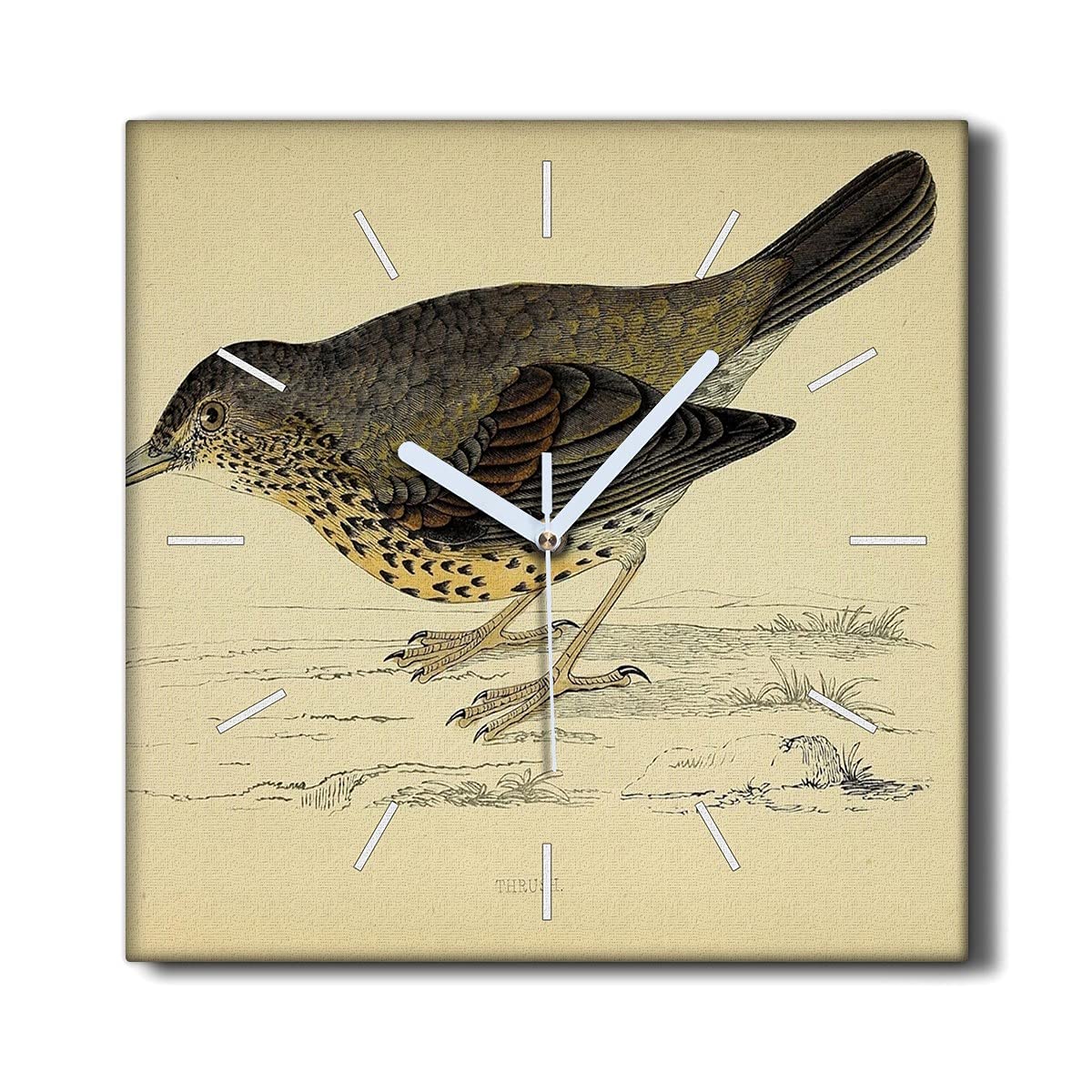 Horloge sur Toile sans tic-tac 30x30 déco murale salon oiseau