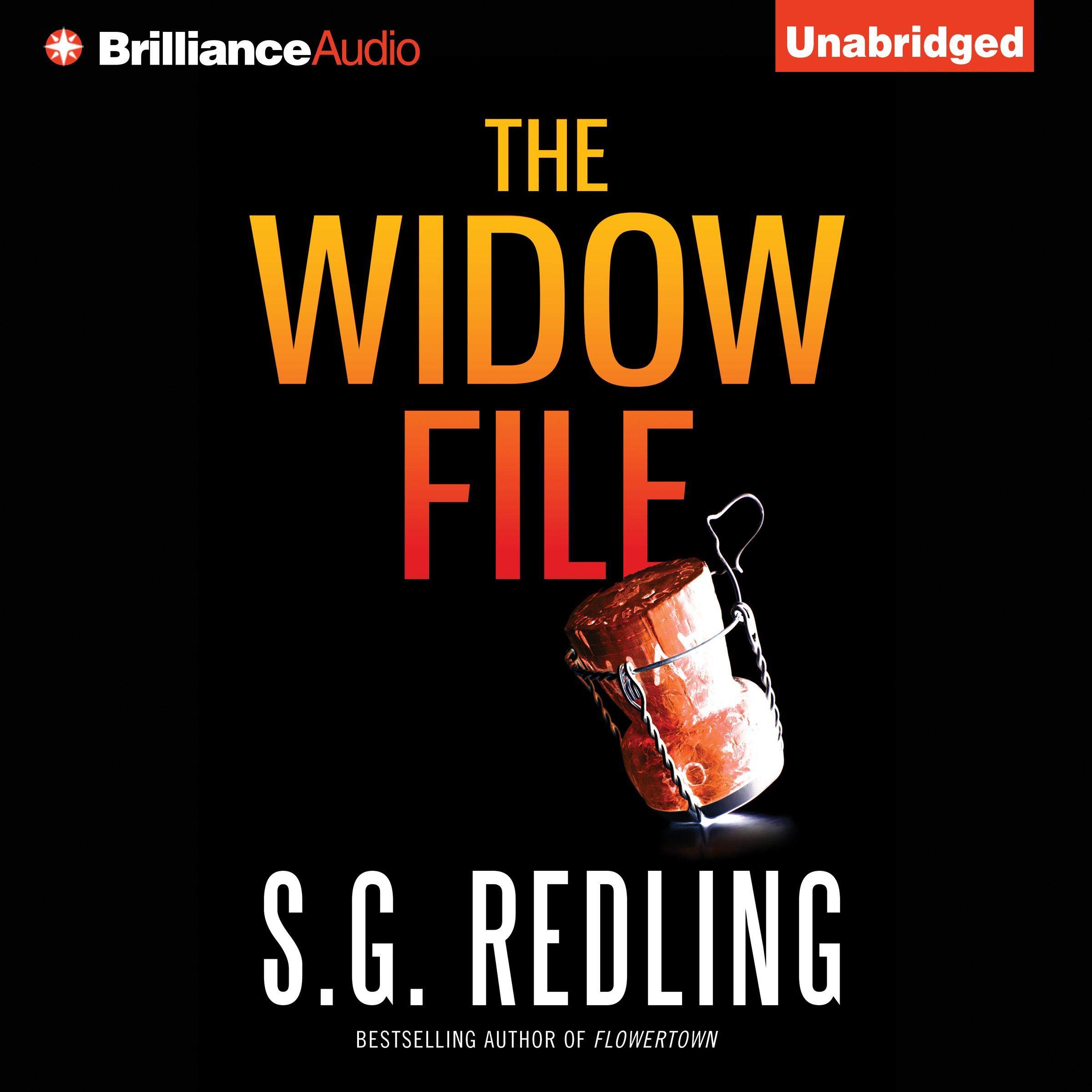Cover art for The Widow File