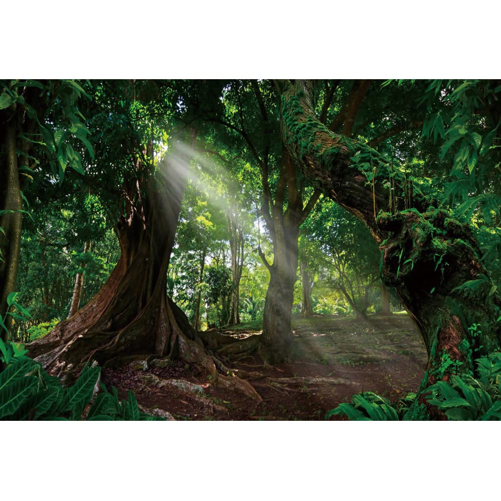 300x250cm Bosque telón de Fondo Enorme árbol Antiguo temprano por la mañana Sol fotografía Fondo Selva Tropical Paisaje Natural fotografía telón de Fondo Estudio fotografía Accesorios