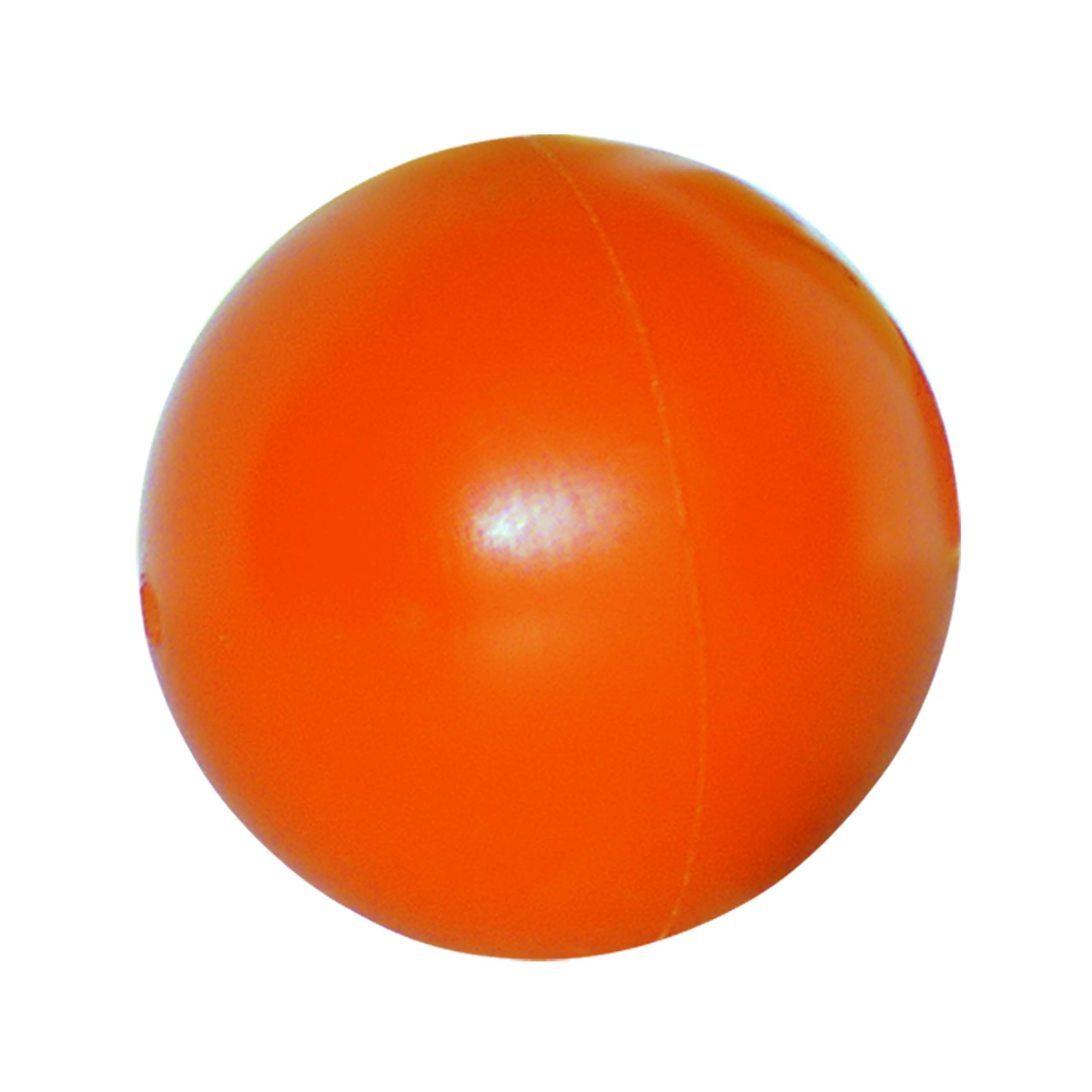 CoolBoard Medium Quickness Ball - accessory Balance Boards