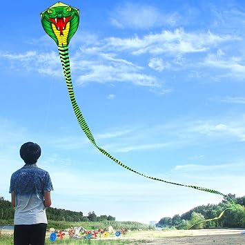 Touch the sky 8m Long Snake Kite for Kids and Adults, Easy to Fly, Exquisite Fabrics and Unique Structure Design, Excellent Outdoor Games and Activity Toys, Suitable for Beginners.