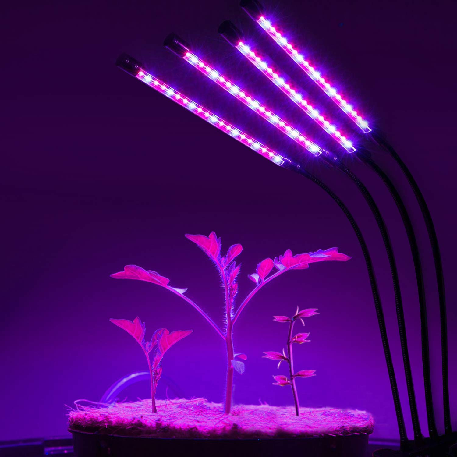 Rozwijaj żarówkę Indoor Plant - Rosną światło dla roślin domowych - Led Grow Light - Światła roślin z klipsem - Rosnąca lampa do wzrostu roślin z zegarem na zewnątrz needed