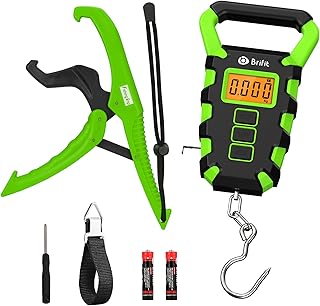 Digital Hanging Fishing Scale with Ruler, Electronic Digital Luggage Scale, Fishing Postal Hanging Hook Scale with Measuring Tape, Backlit LCD Display, 110lb/50kg Capacity - Green