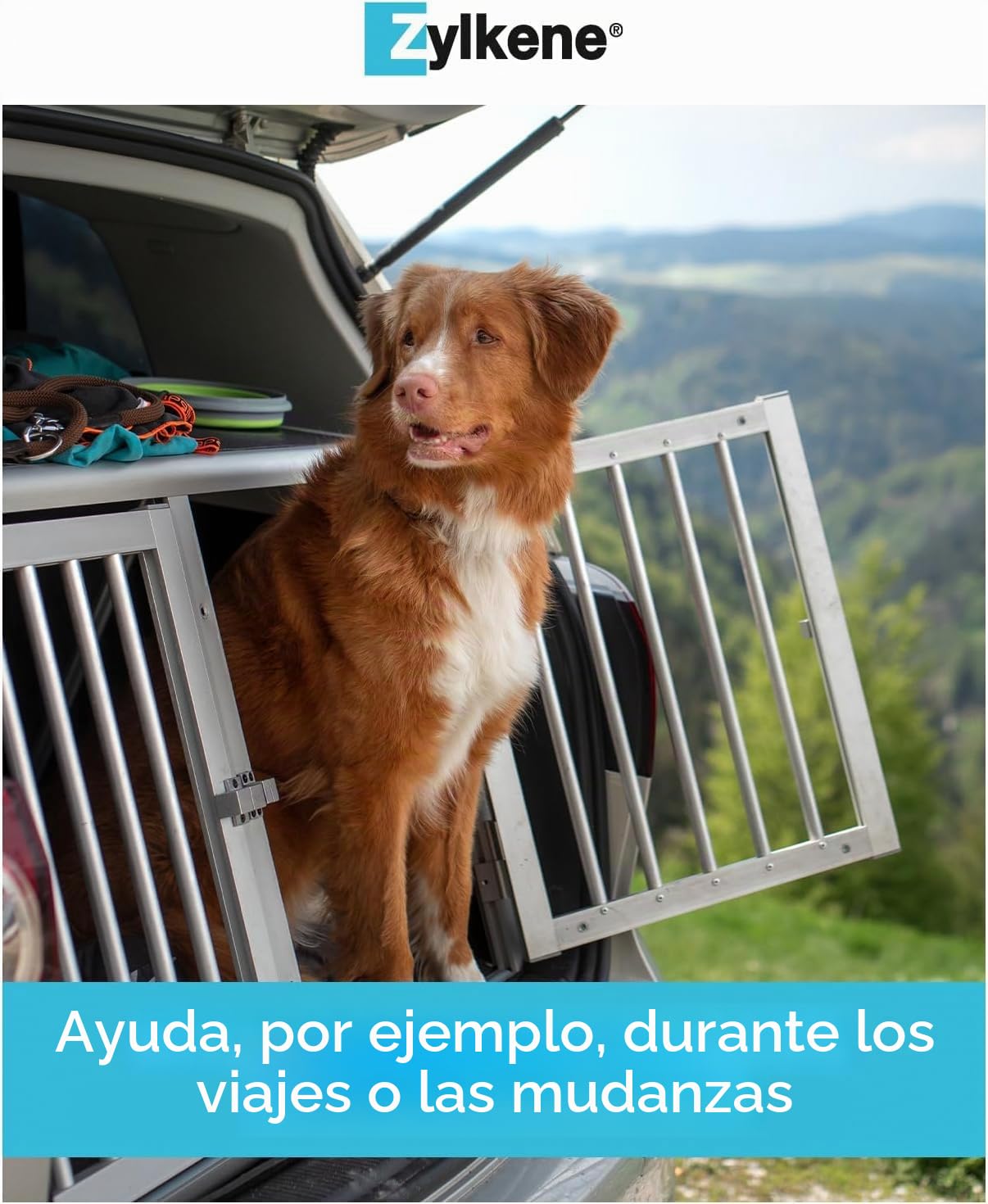 Zylkene Pienso Complementario | Perros de más de 15 kg | Relajante para situaciones incómodas | 100 Cápsulas de 450 MG