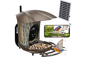 Sneak A Peek Bird Feeder: Capture The Beauty Of Nature Right At Your Fingertips