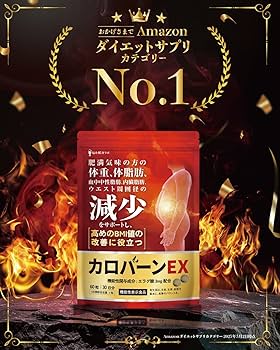 古口 様⭐️９袋⭐️未開封⭐カロバーンEX 糖脂抑制源EX ナイシボル 血糖値 古口 様⭐️9袋⭐️未開封⭐カロバーンEX 糖脂抑制源EX