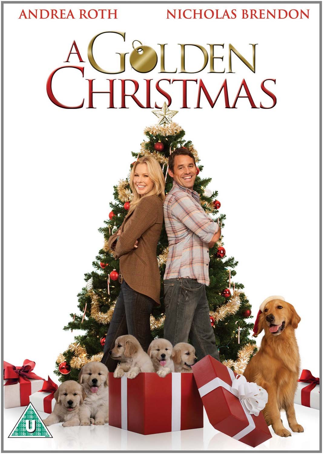 A Golden Christmas [DVD]: Amazon.co.uk: Andrea Roth, Nicholas