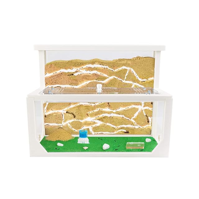 Anthouse.es - Hormiguero Natural de Arena - Kit Hormiguero 3D Forma de L (Sándwich + Caja de Forrajeo)