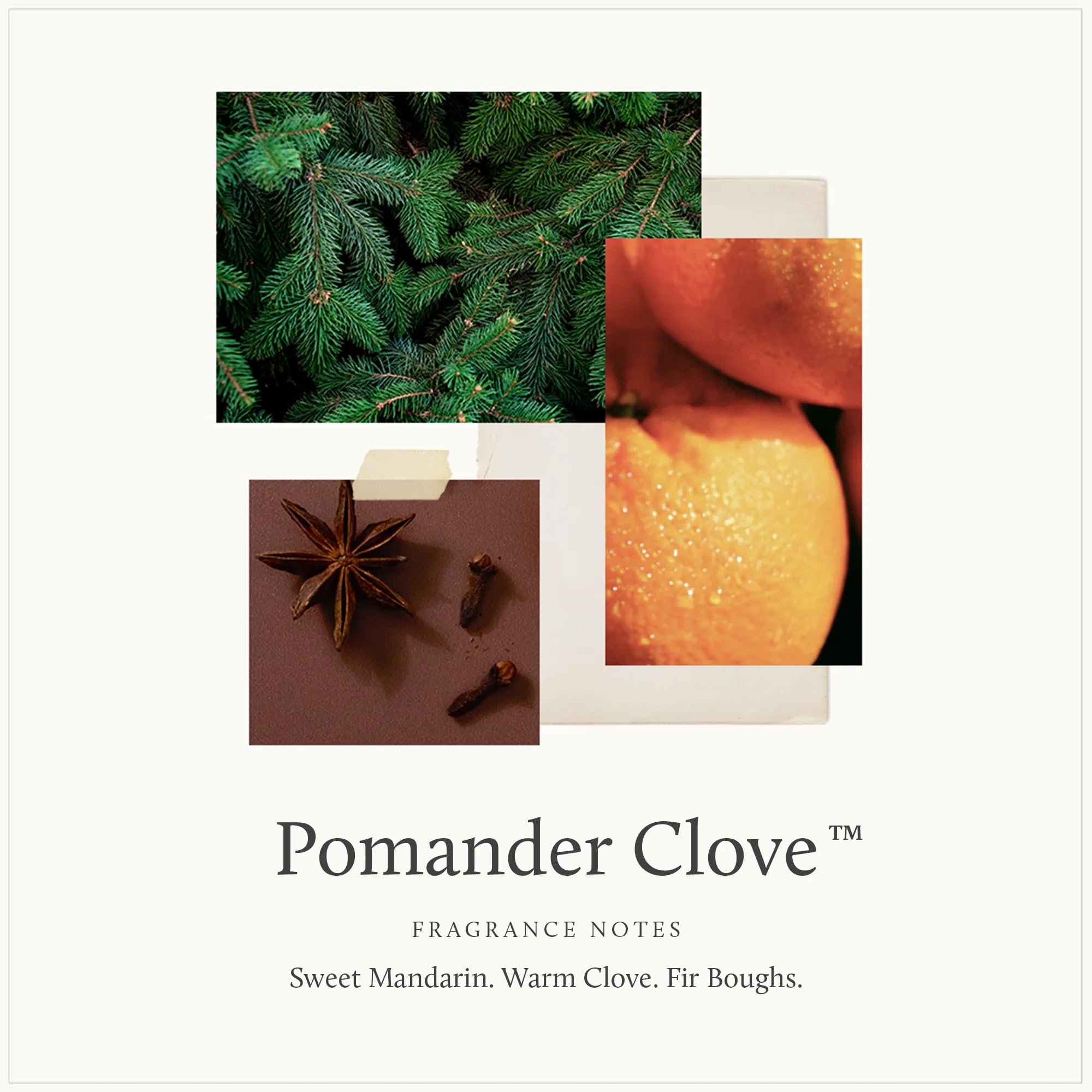 Thymes Pomander - Vela de clavo con tapa, velas perfumadas de 6.5 onzas