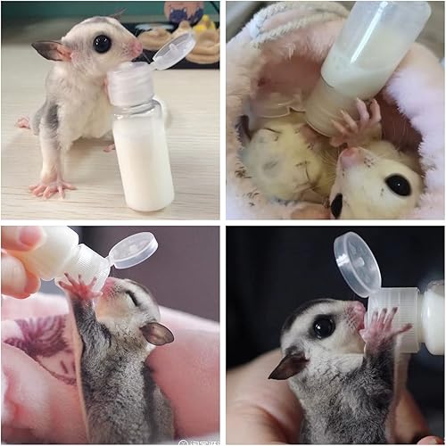 Miniatura 6 de Paquete de 3 botellas de lactancia Sugar Glider, biberón de leche de plástico con tapa abatible, kit de lactancia para mascotas, dispensador de
