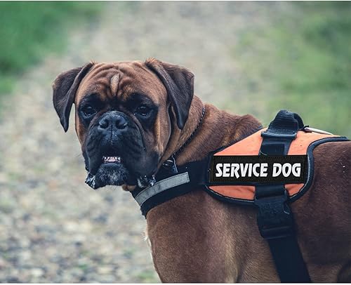 Miniatura 4 de 4 parches reflectantes para perros de servicio, chaleco táctico de gancho con lazo, juego de parches extraíbles con velcro bordado, perro de