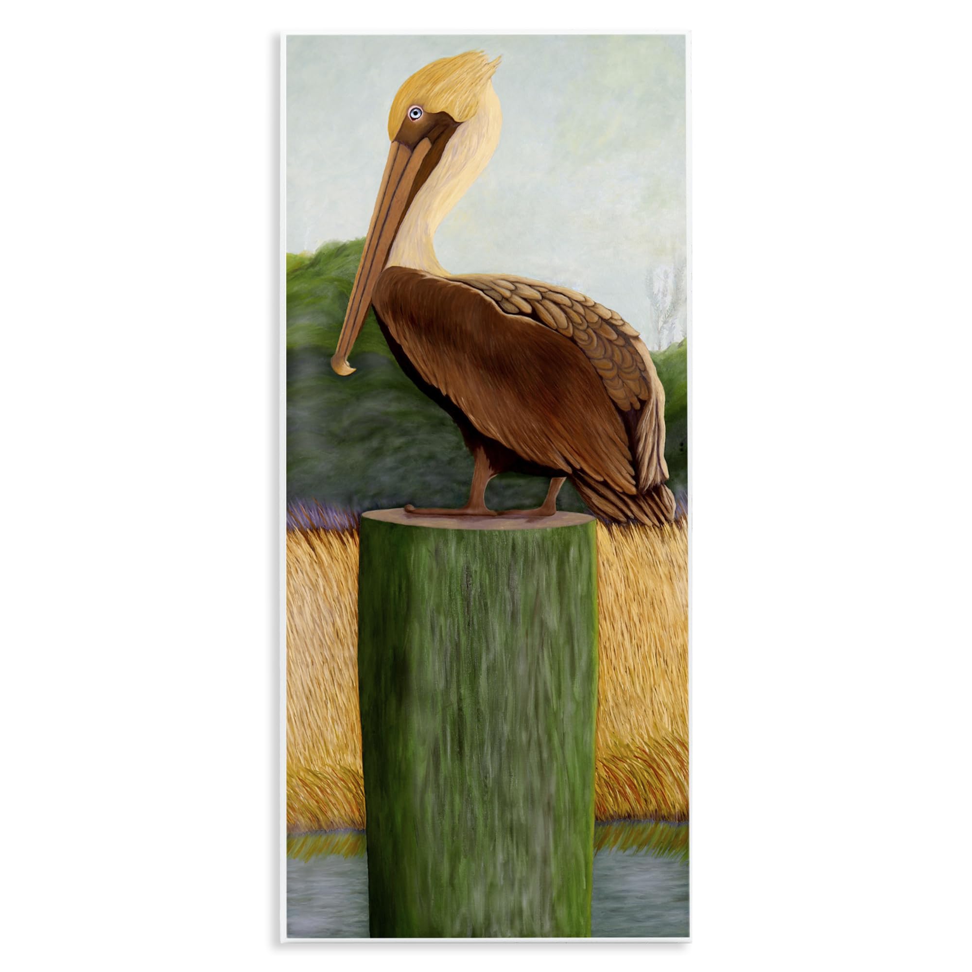 Stupell Industries 'Blue Eyed Pelican', Wall Plaque Art, 7 x 17 Inches, Easy to Hang and Sturdy, Made in USA, by Barbara Fallenbaum