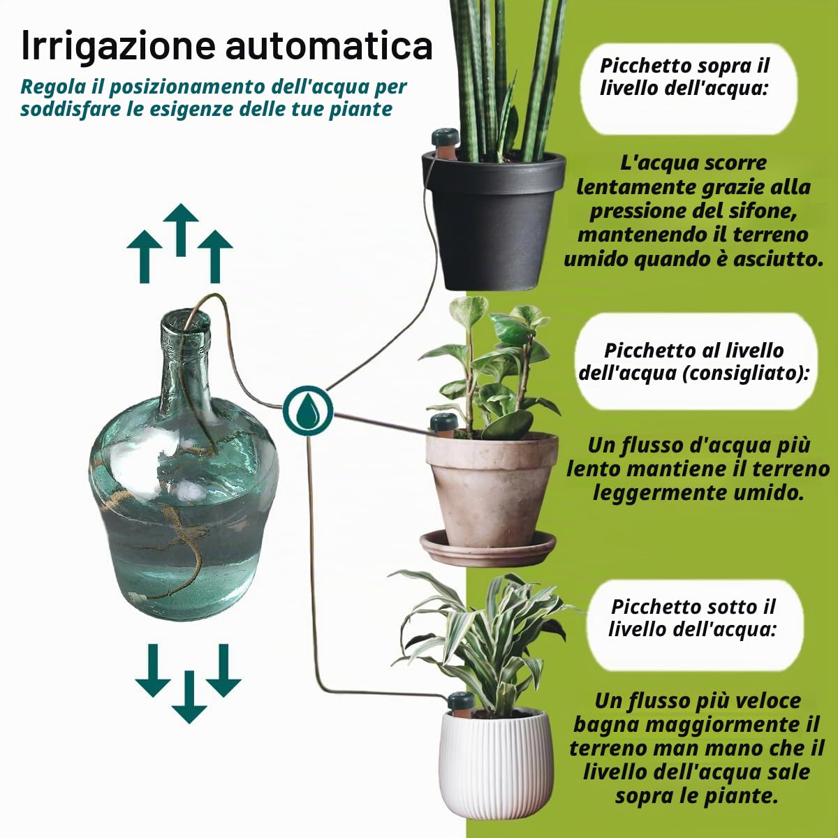 Blumat Coni di irrigazione per piante da interno ed esterno, sistema di irrigazione a goccia automatico per piante in vaso, aiuto per la cura delle piante da interno (confezione da 12)