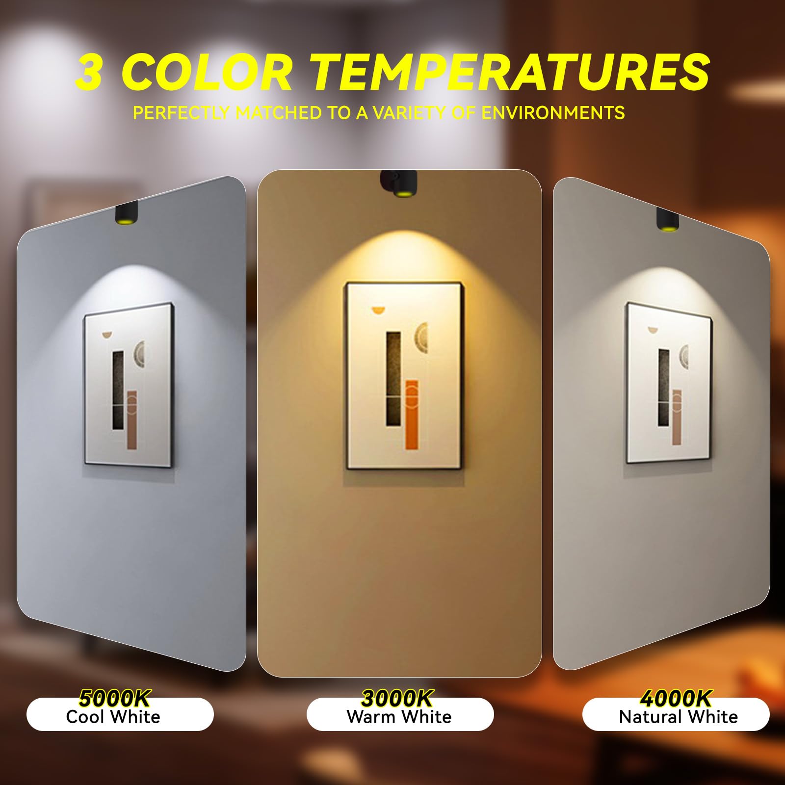 2Pack 12W Aufleuchtung Innenbeleuchtung mit Timer und Fernbedienung, 3 Farbmodi dimmbares Boden Spot Licht, 120V LED Akzent Spot Lichter für Pflanze, Kunstwerk, Bild, Dartboard, Ecke, Wand