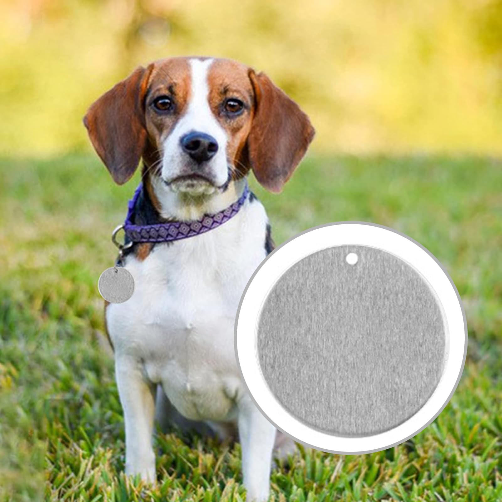 PANGBOER Lot de 100 plaques d'identification faciles à attacher aux colliers pour chien et chat