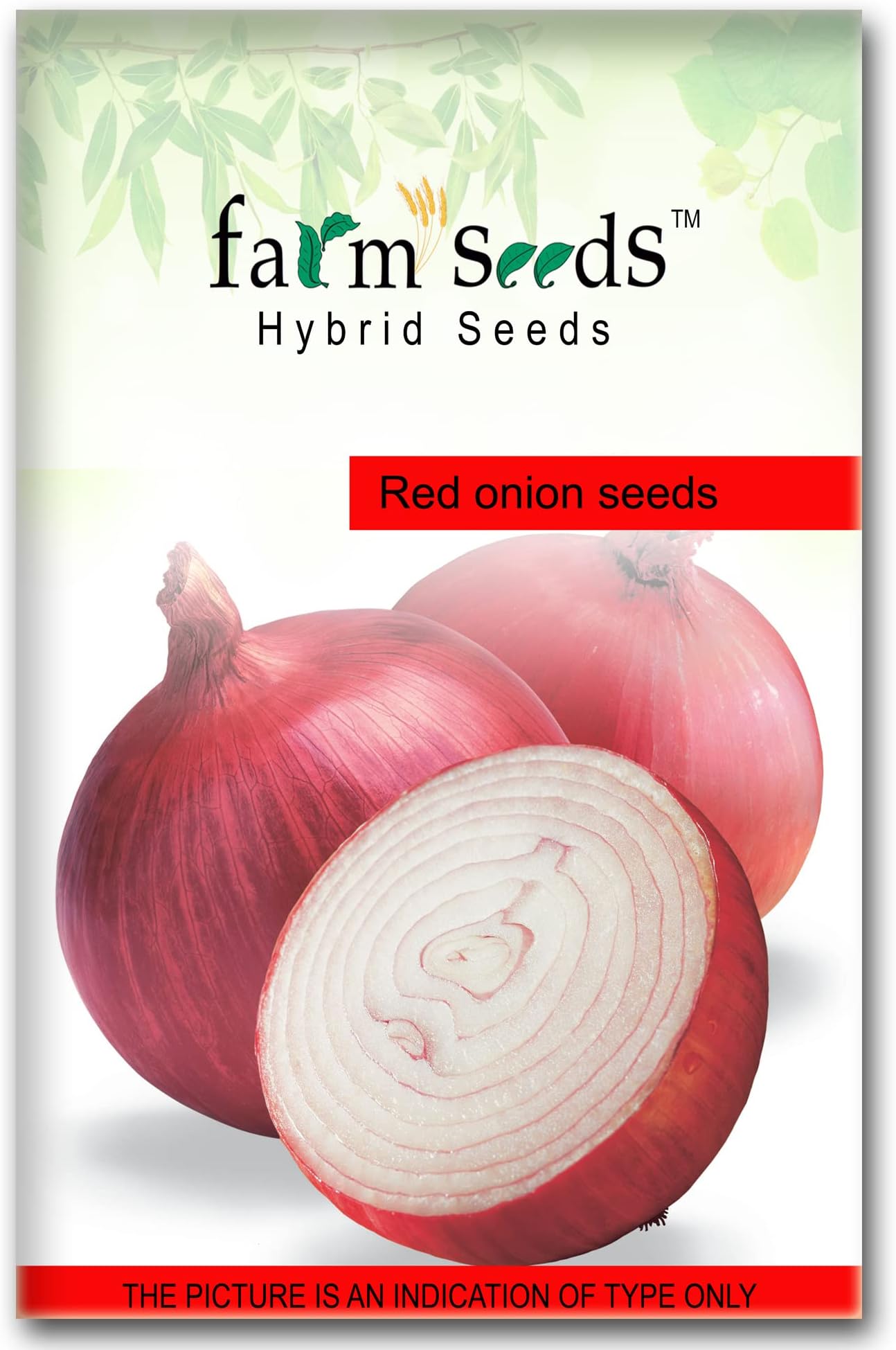 Hybrid Onion 1 Packet Seeds Seed (500 per packet)