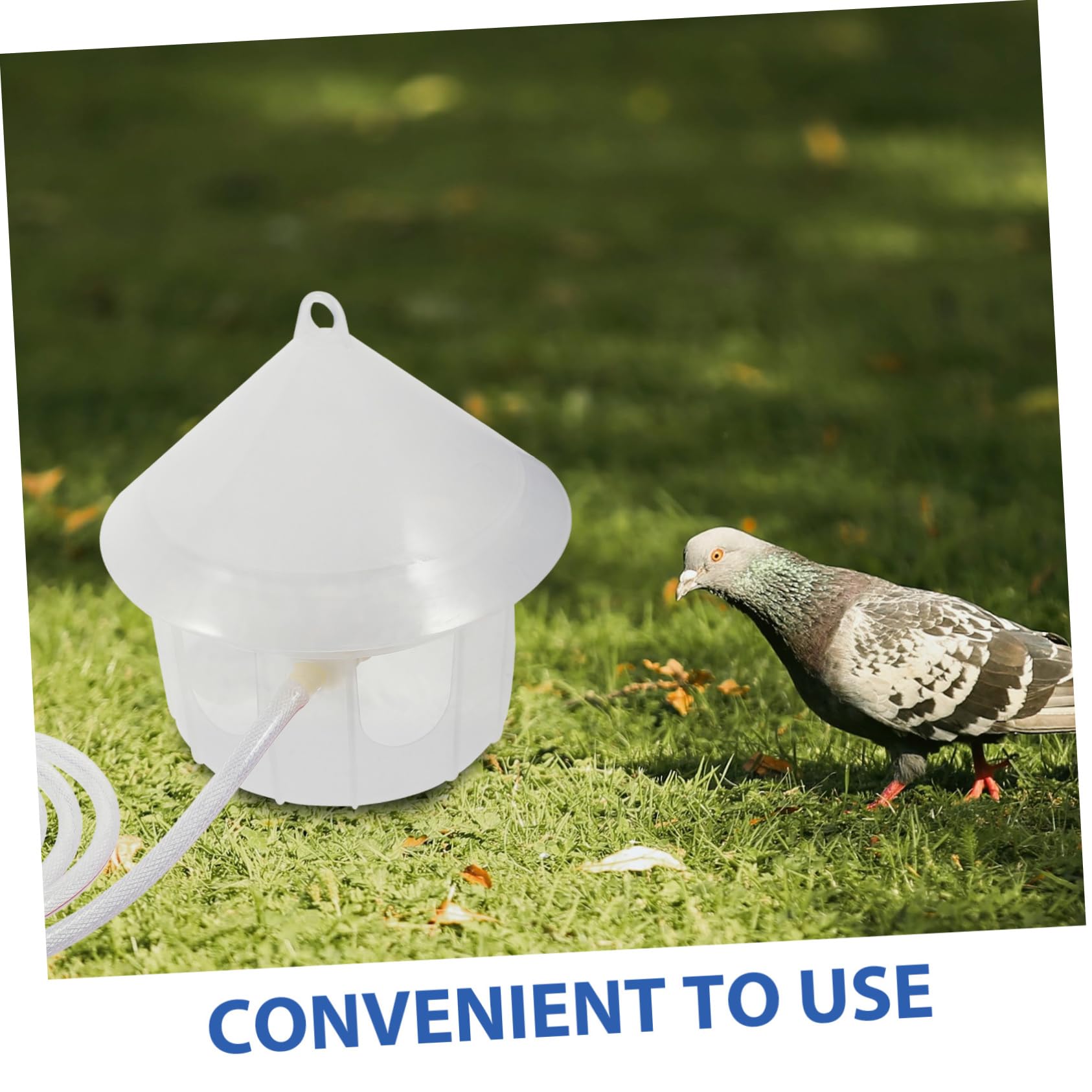 TOYANDONA Mangiatoia Per Piccioni Automatica Distributore d Acqua Per Uccelli Comodo Dispositivo Per Acqua Per Piccioni e Pappagalli Adatto Per Gabbia