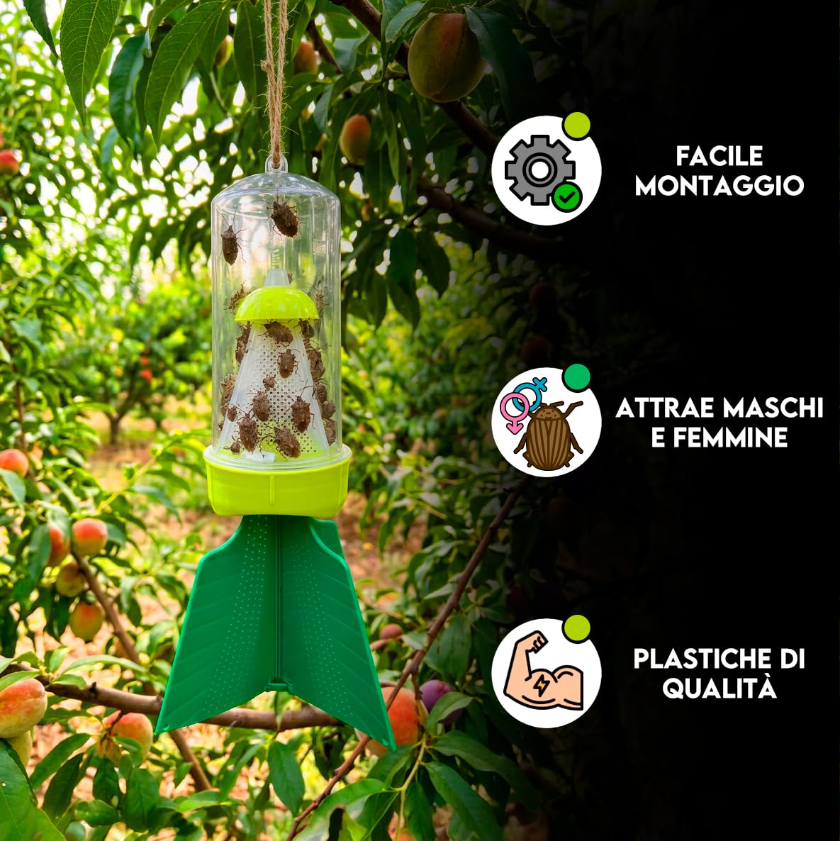 Trappola per Cimici Asiatiche con Feromone Attrattivo Maschile e Femminile, Kit a Effetto Duraturo, Facile da Assemblare e Testato (Trappola e Feromoni)