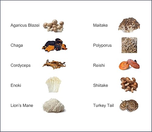 Miniatura 4 de Polvo de extracto de hongos  Potente mezcla de 10, melena de león orgánica, Cordyceps, Reishi, Shiitake, hongo cola de pavo suplemento cerebral